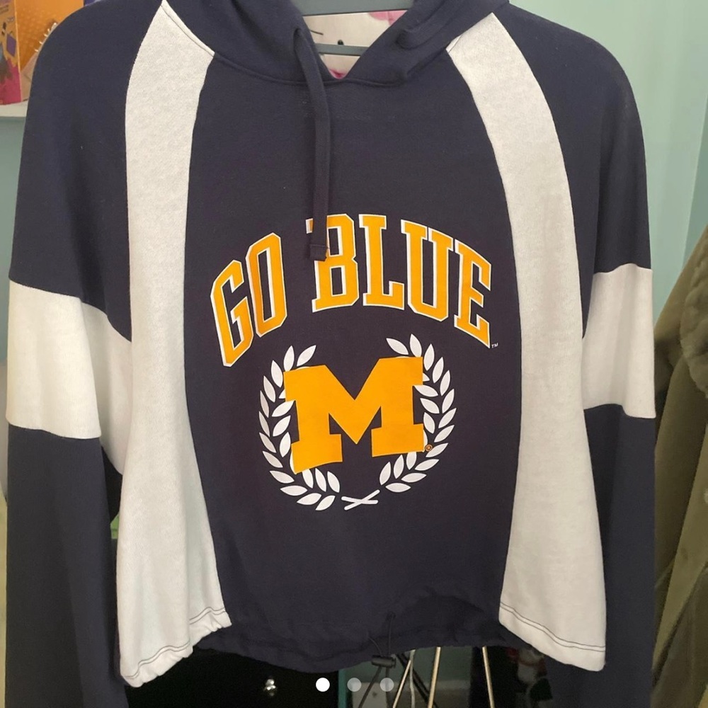 Umich Cropped Hoodie